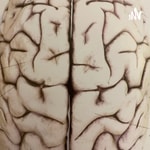 Podcast Explanation of Brain function by Deniz