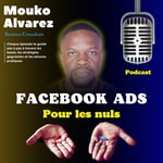 Logo of the podcast Facebook Ads Pour le Nuls Podcast Facebook Ads Pour le Nuls