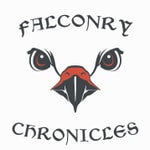 Falconry Chronicles Podcast Podcast Falconry Chronicles Podcast