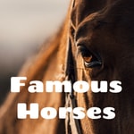 Logo of the podcast Famous Horses Podcast Famous Horses