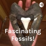 Logo of the podcast Fascinating Fossils! Podcast Fascinating Fossils!