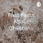 Logo of the podcast Fast Facts About Cheetahs Podcast Fast Facts About Cheetahs