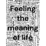Logo of the podcast Feeling the meaning of life Podcast Feeling the meaning of life