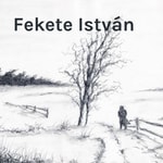 Logo of the podcast Fekete István - Három karácsony (Rádiójáték) Podcast Fekete István - Három karácsony (Rádiójáték)