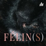 Podcast Félin(s) - Le podcast