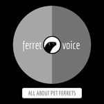 Logo of the podcast Ferret Voice Podcast Podcast Ferret Voice Podcast