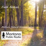 Logo of the podcast Field Notes Missing podcast logo
