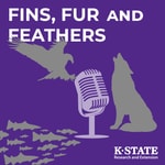 Logo of the podcast Fins, Fur, and Feathers