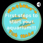 Logo of the podcast First steps to start your aquarium!!! Podcast First steps to start your aquarium!!!