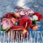 Flamboyantes Flamboyantes