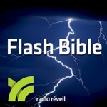 Logo of the podcast Flash Bible Podcast Flash Bible