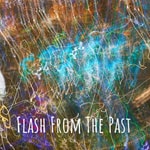 Logo of the podcast Flash From The Past - Retro Gaming and Movie Podcast Podcast Flash From The Past - Retro Gaming and Movie Podcast