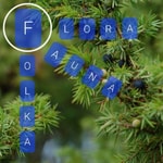 Logo of the podcast Flora Fauna Folka Podcast Flora Fauna Folka