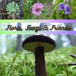 Logo of the podcast Flora, Fungi and Friends Podcast Flora, Fungi and Friends