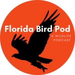 Logo of the podcast Florida Bird Pod Podcast Florida Bird Pod