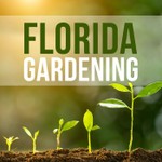 Logo of the podcast Florida Gardening Podcast Florida Gardening
