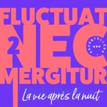 Logo of the podcast Fluctuat Nec Mergitur - La vie après la nuit Podcast Fluctuat Nec Mergitur - La vie après la nuit