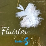 Logo of the podcast Fluister Podcast Fluister