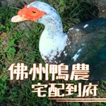 Logo of the podcast 佛州鴨農宅配到府 Podcast 佛州鴨農宅配到府