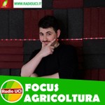 Logo of the podcast Focus AGRICOLTURA e AGROALIMENTARE - RadioUCI Podcast Focus AGRICOLTURA e AGROALIMENTARE - RadioUCI