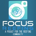 Logo of the podcast Focus Reefing Podcast Focus Reefing
