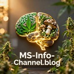 Logo of the podcast Folge 1: MS und Cannabis verstehen – Einblicke und Übersicht Podcast Folge 1: MS und Cannabis verstehen – Einblicke und Übersicht
