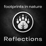Logo of the podcast Footprints In Nature: Reflections Podcast Footprints In Nature: Reflections