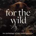 Logo of the podcast For The Wild Podcast For The Wild