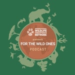 For the Wild Ones For the Wild Ones