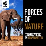 Logo of the podcast Forces Of Nature Podcast Forces Of Nature