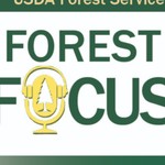 Logo of the podcast Forest Focus Custer Gallatin National Forest Podcast Forest Focus Custer Gallatin National Forest