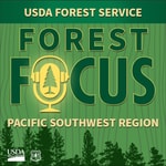 Logo of the podcast Forest Focus Podcast Forest Focus