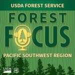 Podcast Forest Focus