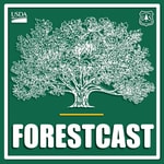 Forestcast Forestcast