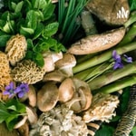Logo of the podcast Forging through Foraging Podcast Forging through Foraging