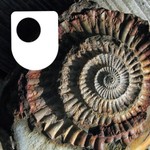 Logo of the podcast Fossil Detectives - for iPod/iPhone Podcast Fossil Detectives - for iPod/iPhone
