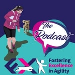 Fostering Excellence in Agility 