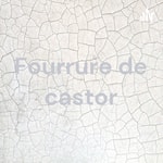Logo of the podcast Fourrure de castor Podcast Fourrure de castor