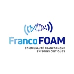 Logo of the podcast FrancoFOAM Podcast FrancoFOAM