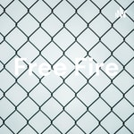 Logo of the podcast Free Fire Podcast Free Fire