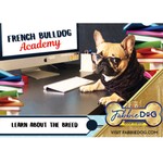 Logo of the podcast French Bulldog Academy Podcast French Bulldog Academy