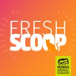 Logo of the podcast Fresh Scoop Podcast Fresh Scoop
