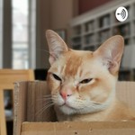 Podcast Freya's Desert Island Discs 