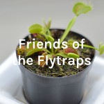 Logo of the podcast Friends of the Flytraps Podcast Friends of the Flytraps