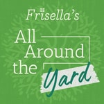 frisellasallaroundtheyard's podcast Podcast frisellasallaroundtheyard's podcast