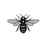 Logo of the podcast Frodsham Town Council Podcast Podcast Frodsham Town Council Podcast