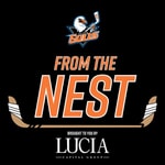 Logo of the podcast From The Nest Podcast From The Nest