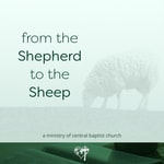 Logo of the podcast From the Shepherd to the Sheep Podcast From the Shepherd to the Sheep