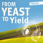 Logo of the podcast From yeast to yield Podcast From yeast to yield
