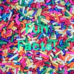 Logo of the podcast Fun Facts! Podcast Fun Facts!